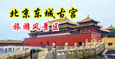 又硬又粗又爽歪歪的视屏中国北京-东城古宫旅游风景区